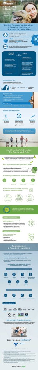 Suntheanine Inforgraphic