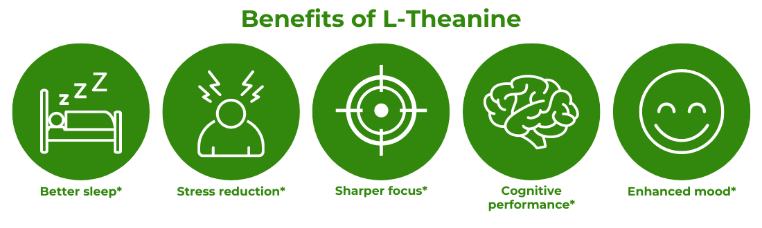 5 benefits of l-theanine