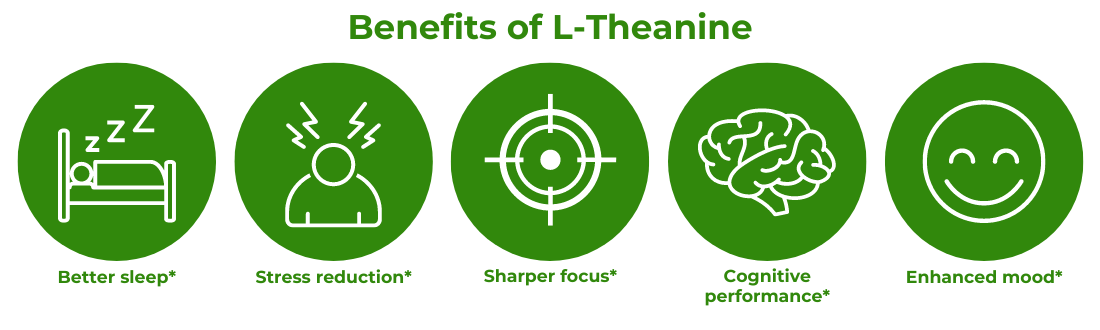 5 benefits of l-theanine 5 benefits of l-theanine