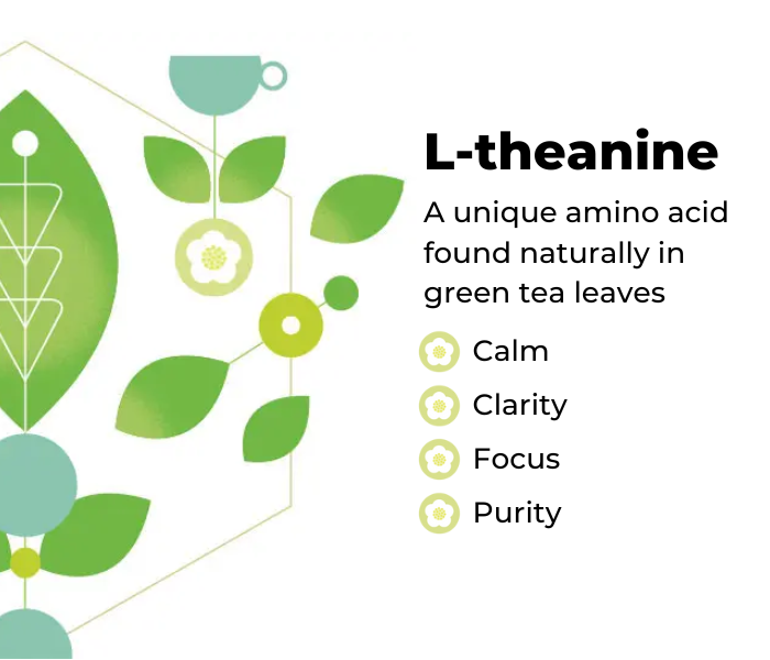 What is L-Theanine?