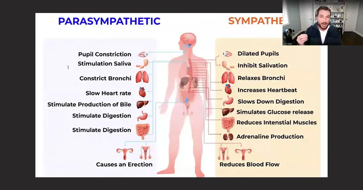 Parasympathetic vs Sympathetic